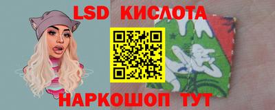 ПСИЛОЦИБИНОВЫЕ ГРИБЫ Дубна