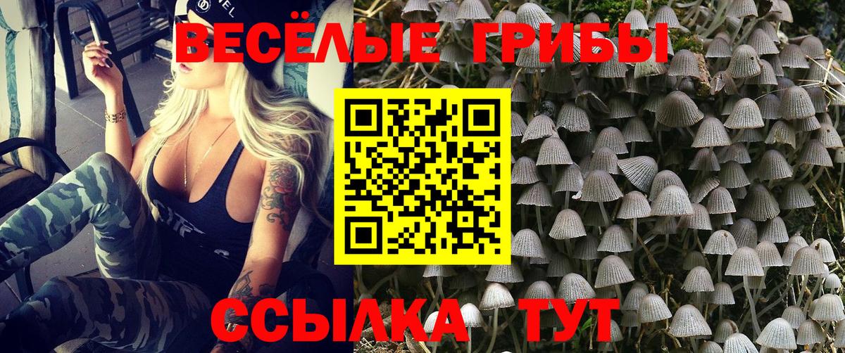наркота  Вход с VPN  Десногорск  Псилоцибиновые грибы Psilocybine cubensis 